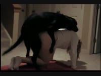 Sexy babe got fucked hard by a horny dog xxx